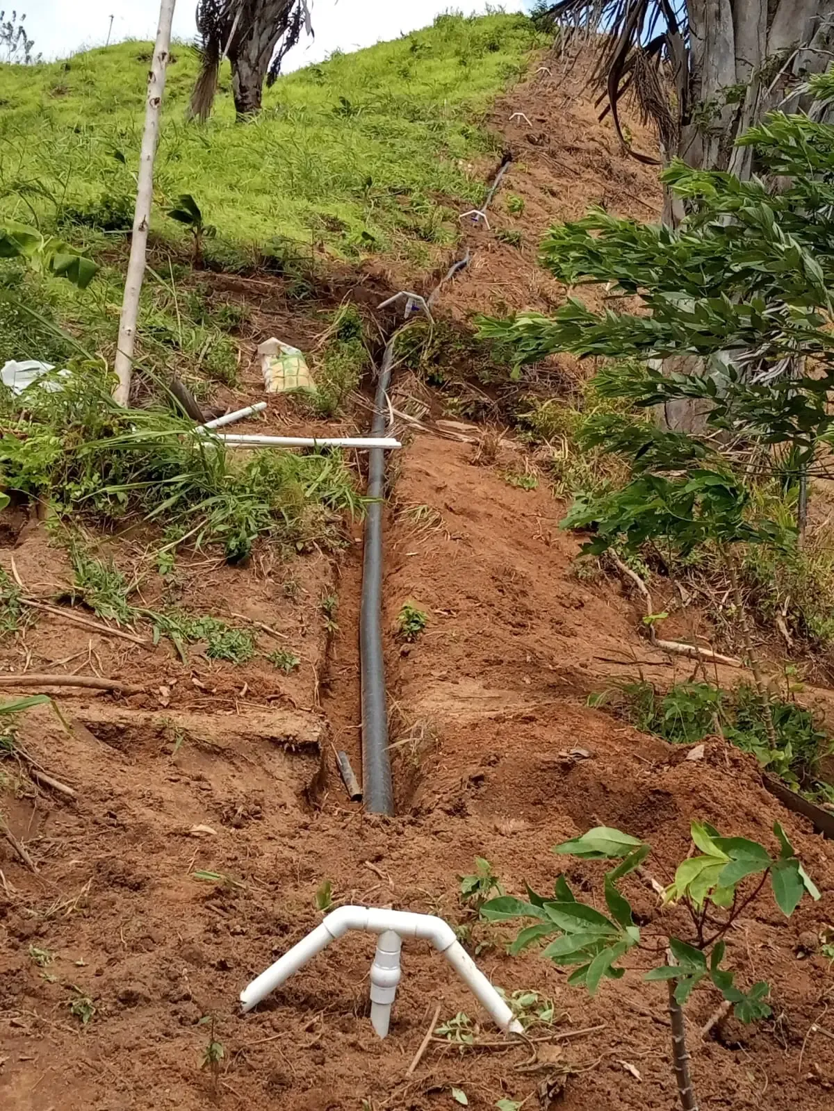 Sistema de riego por gravedad instalado en un cultivo de plátano en la Sierra Nevada de Santa Marta