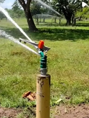 Supervisión de un proyecto de riego en cultivo de palma de aceite